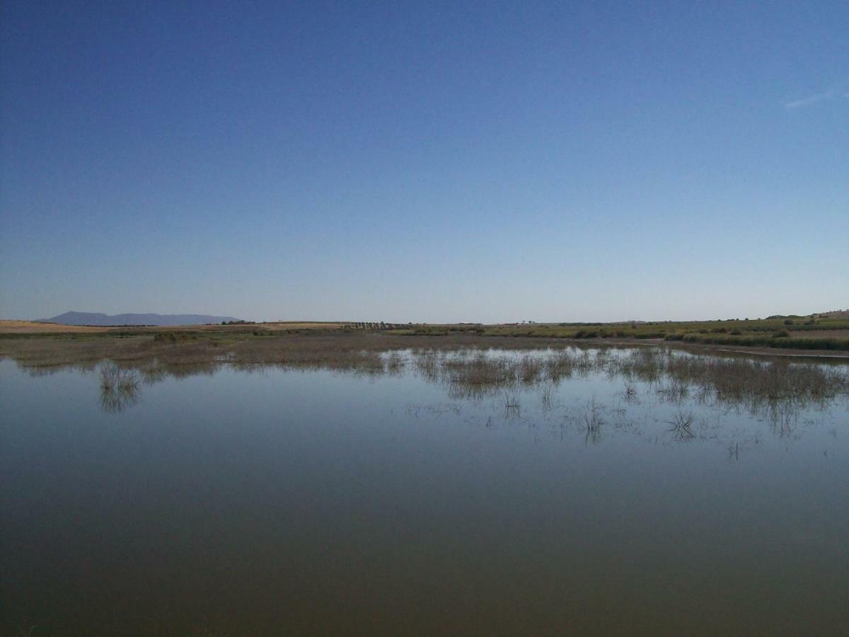 El Labriego, Casa Rural Fuente el Fresno 外观 照片
